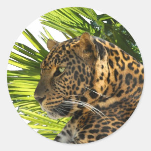 ADESIVO REDONDO LEOPARD E PALMS