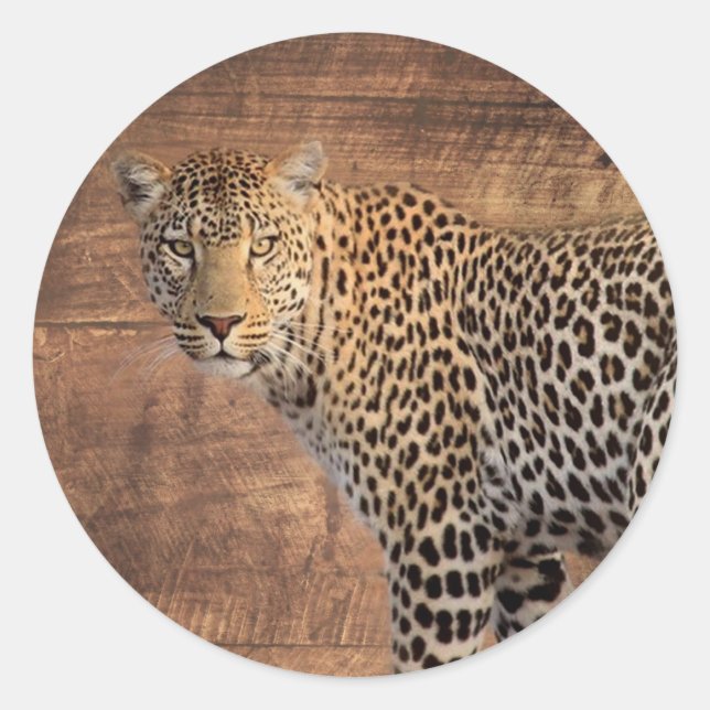 Adesivo Redondo Leopardo (Frente)