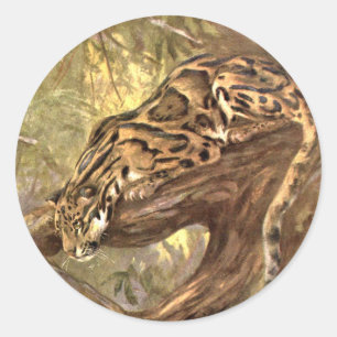 Adesivo Redondo Leopardo nublado por Cisne-CE, animais selvagens d