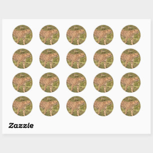 Adesivo Redondo Leopardo-Stickers