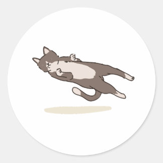 Adesivo Redondo Levitating Cat sticker