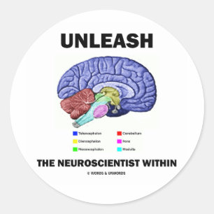 Adesivo Redondo Libertar O Neurocientista Dentro (Anatomia Cerebra