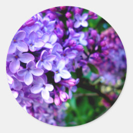 Adesivo Redondo Lilacs