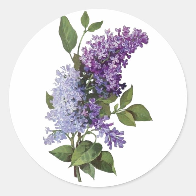 Adesivo Redondo Lilacs frescos (Frente)