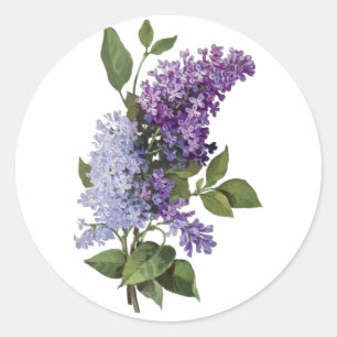 Adesivo Redondo Lilacs frescos