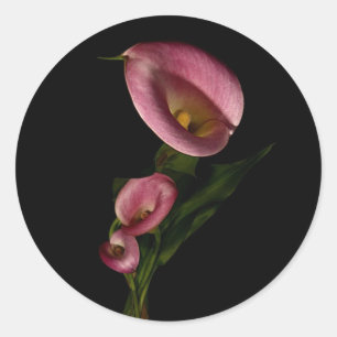 Adesivo Redondo Lilly Sticker