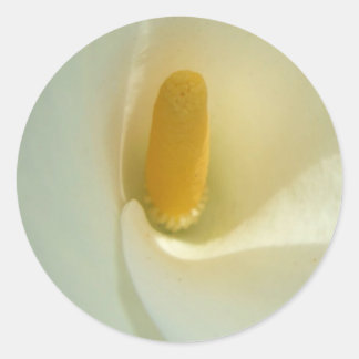 Adesivo Redondo Lilly Stickers