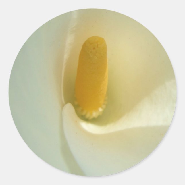 Adesivo Redondo Lilly Stickers (Frente)
