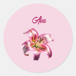 Adesivo Redondo Lily Asiática Rosa-Rosa Iridescente