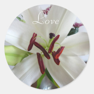 Adesivo Redondo Lily Branca, flor.