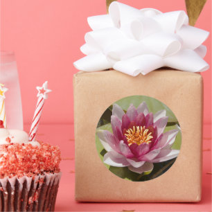 Adesivo Redondo Lily de Água Rosa