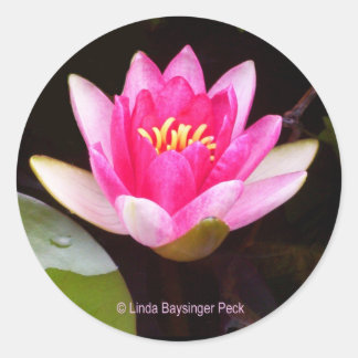 Adesivo Redondo Lily de água rosa