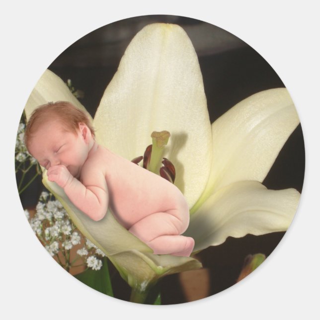 Adesivo Redondo Lily Flower Baby Round Sticker (Frente)