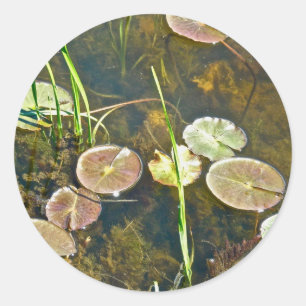 Adesivo Redondo Lily Pads Sticker