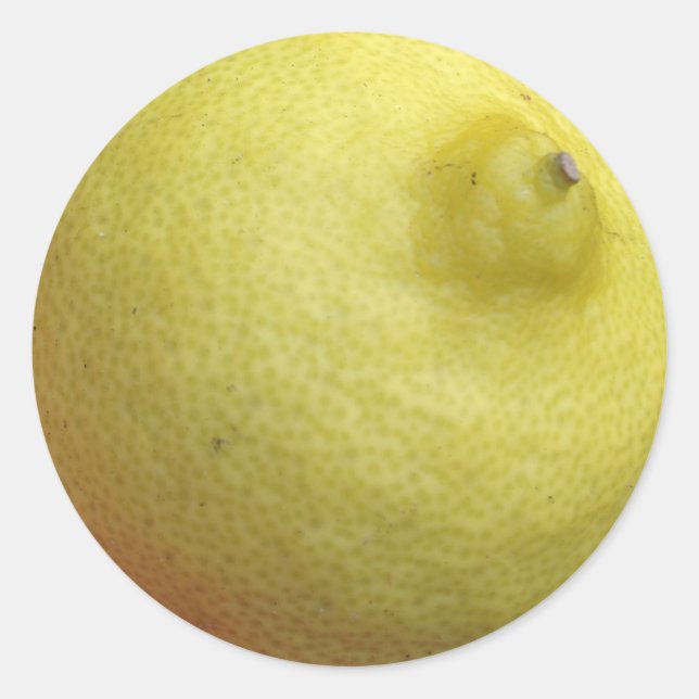 Adesivo Redondo Limão de Meyer (Frente)