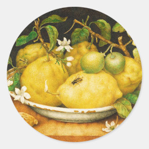 ADESIVO REDONDO LIMÕES DAS FRUTAS DA ESTAÇÃO E FLORES BRANCAS