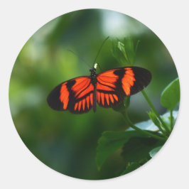 Adesivo Redondo Linda borboleta vermelha e negra
