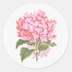 Adesivo Redondo Linda Flor Botânica