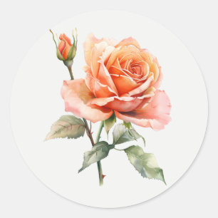 Adesivo Redondo Linda Flor de Jardim de Rosa Pêssego Arte Floral