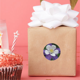 Adesivo Redondo Linda Floral Purple Branco Flor Columbina