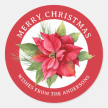 Linda Poinsettia Vermelha