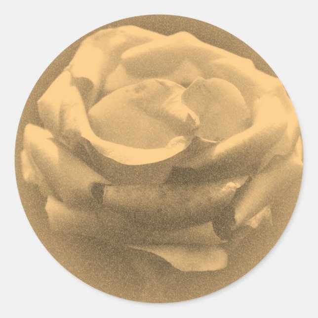 Adesivo Redondo Linda Rosa Rosa Rosa Rosa Fechada Antiga Foto (Frente)