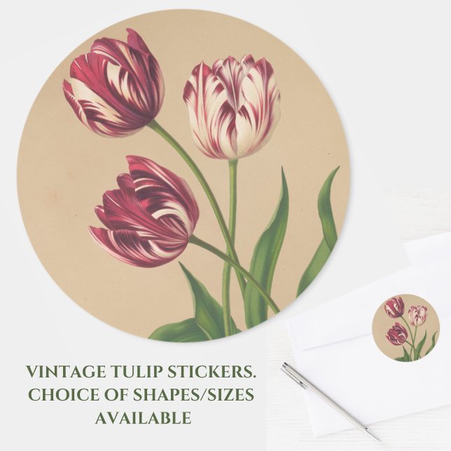 Adesivo Redondo Linda Vintage Tulips Stickers (Beautiful vintage burgundy ruffled tulips grace these stickers for cards or crafts. Great for Easter)