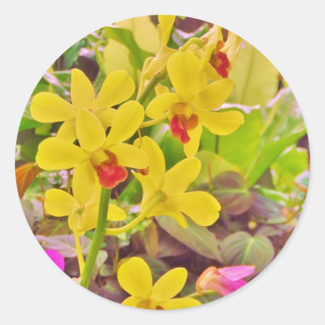 Adesivo Redondo Lindas orquídeas de outono amarelas (Frente)