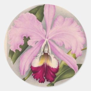 Adesivo Redondo "Linden Orchid", 1897 Botânica