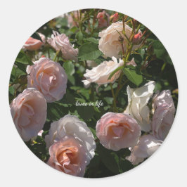 Adesivo Redondo Lindíssimas Rosas Rosa Claro
