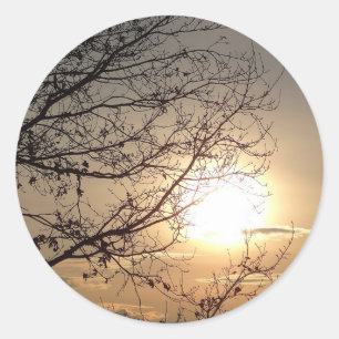 Adesivo Redondo Lindo pôr do sol com galhos