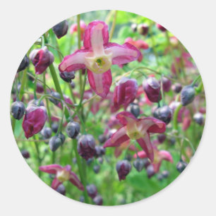 Adesivo Redondo Lindos Flores e Buds Foto de Primavera