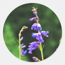 Adesivo Redondo Lindos flores roxas em sangue no Canadá