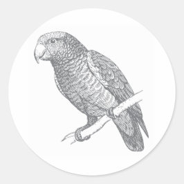 Adesivo Redondo Line Art of Parrot (Gray) Fine Art