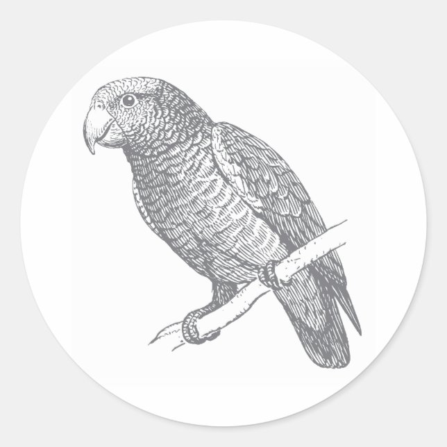 Adesivo Redondo Line Art of Parrot (Gray) Fine Art (Frente)