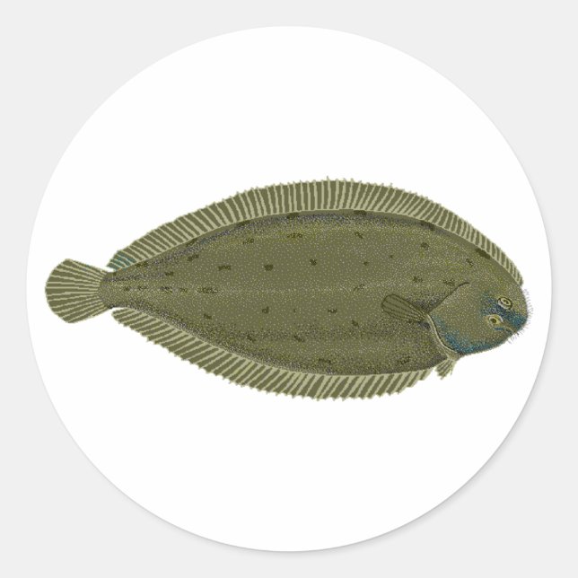 Adesivo Redondo Linguado (Frente)