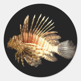 Adesivo Redondo Lionfish