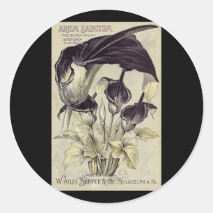 Adesivo Redondo Lírios de Calla preto do vintage