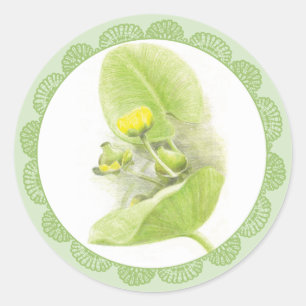 Adesivo Redondo Lírios de flores