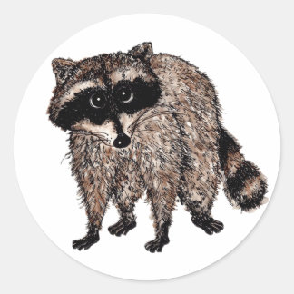 Adesivo Redondo Little Raccoon