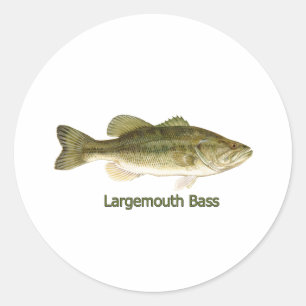 Adesivo Redondo Logotipo Bass Largemouth (com título)