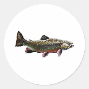 Adesivo Redondo Logotipo Brook Trout (Nadação)