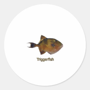 Adesivo Redondo Logotipo cinzento do Triggerfish