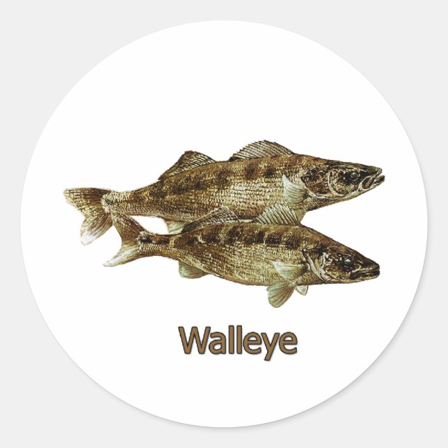 Adesivo Redondo Logotipo de pesca Walleye (Frente)