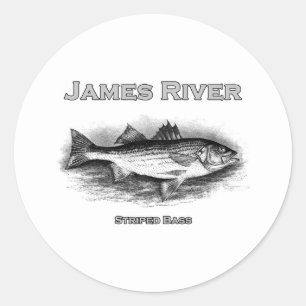 Adesivo Redondo Logotipo do baixo listrado do vintage de James