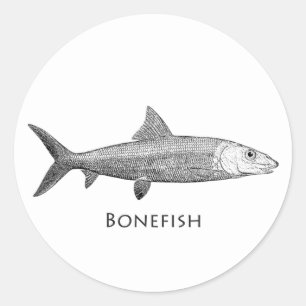 Adesivo Redondo Logotipo do Bonefish