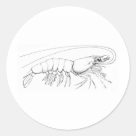 Adesivo Redondo Logotipo do Shrimp