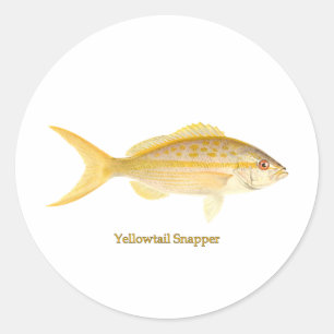 Adesivo Redondo Logotipo do Snapper Yellowtail