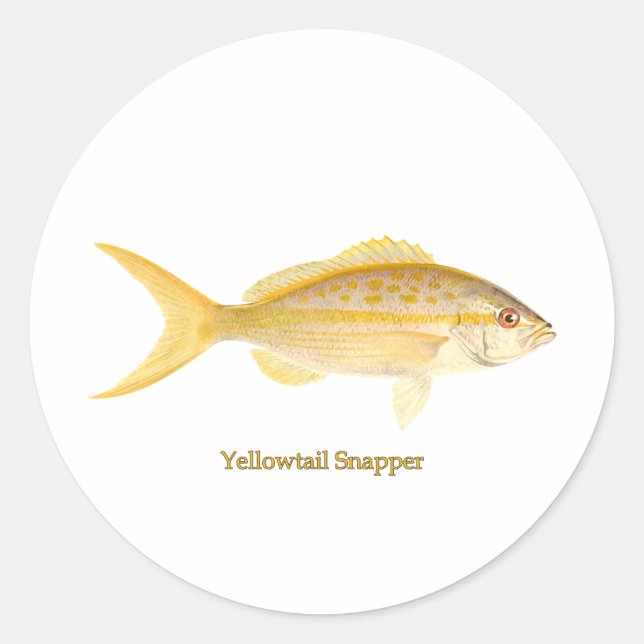 Adesivo Redondo Logotipo do Snapper Yellowtail (Frente)