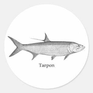 Adesivo Redondo Logotipo Tarpon (line art)